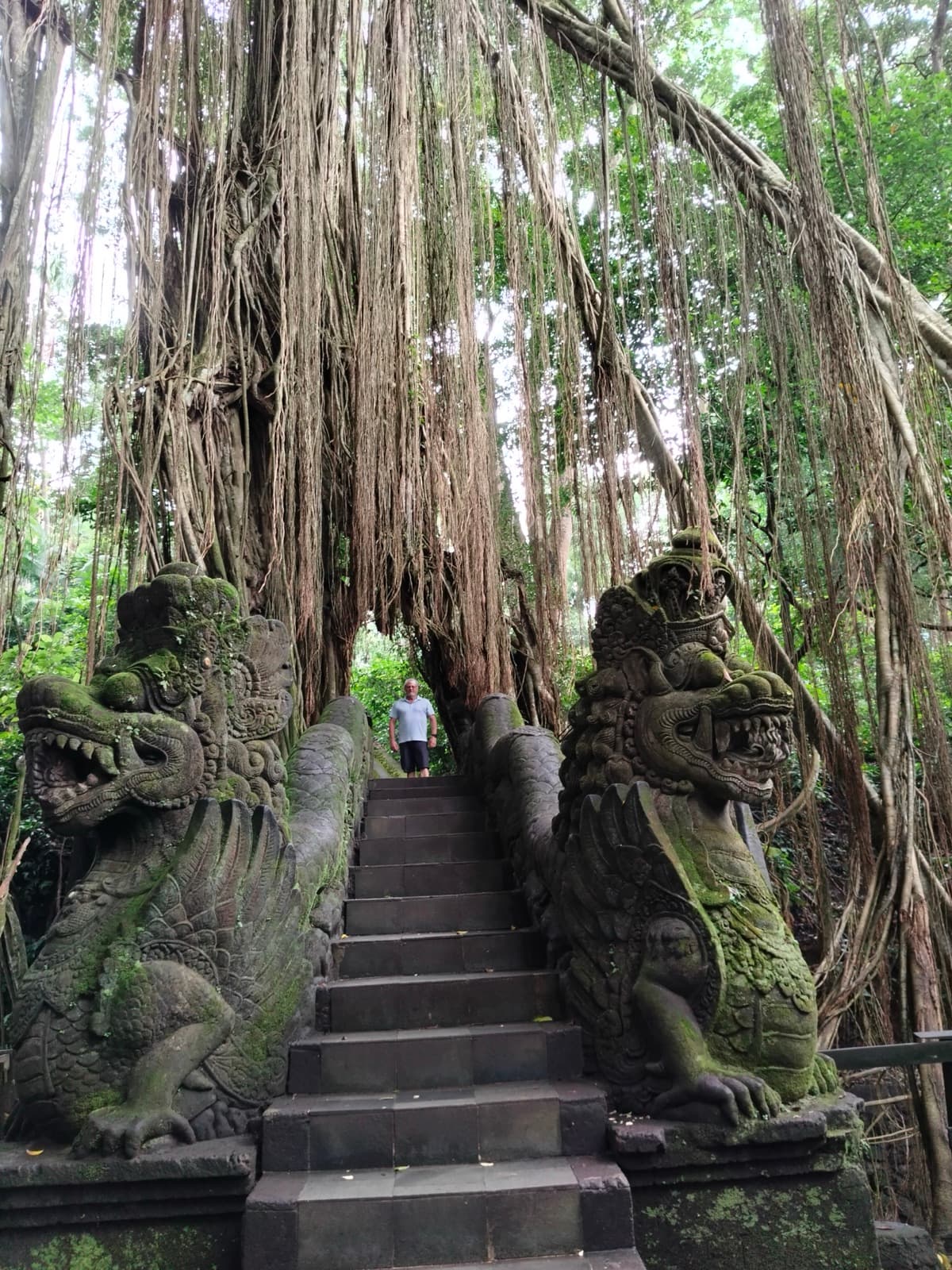 Affenwald in Ubud