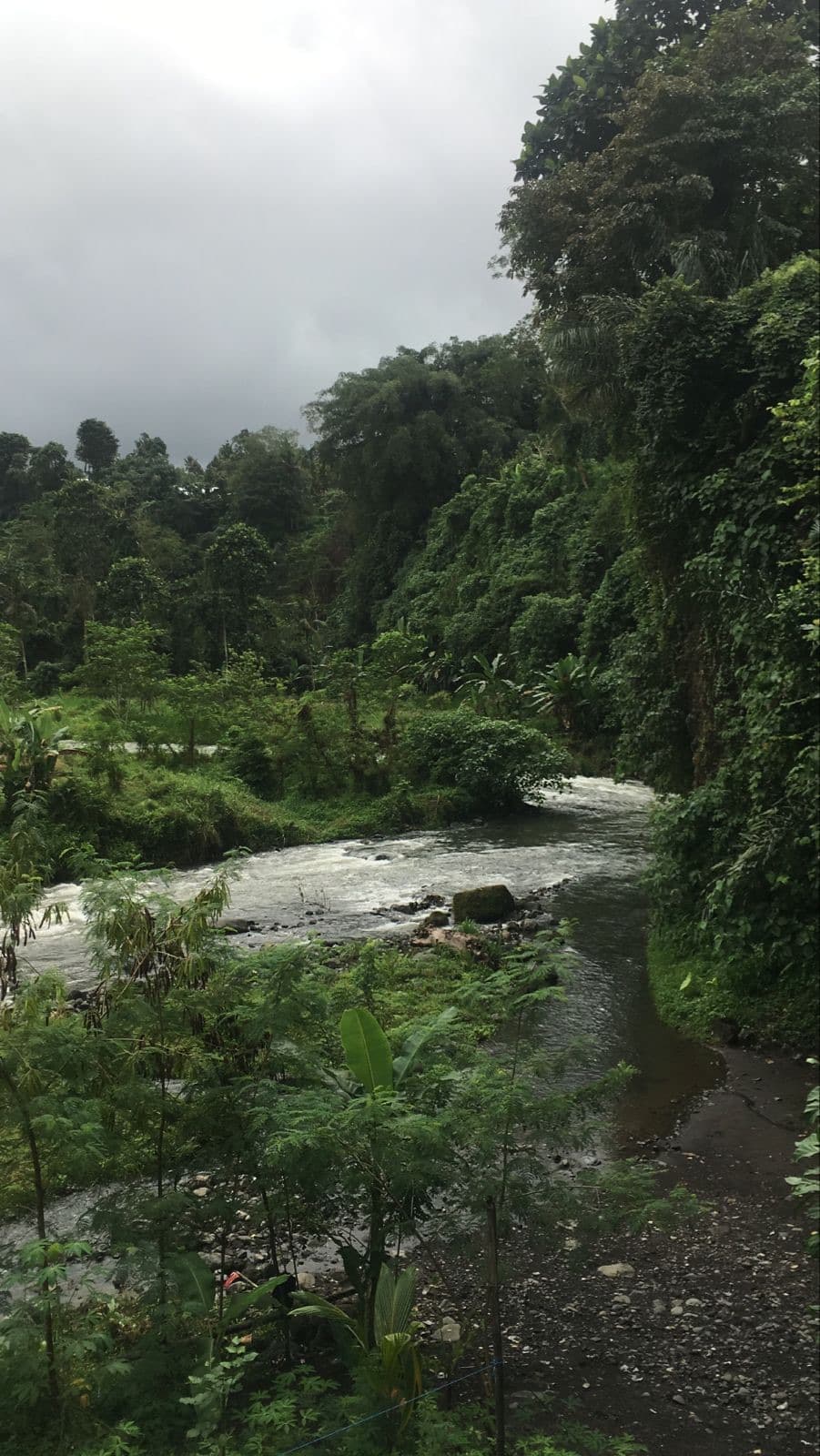 Ubud